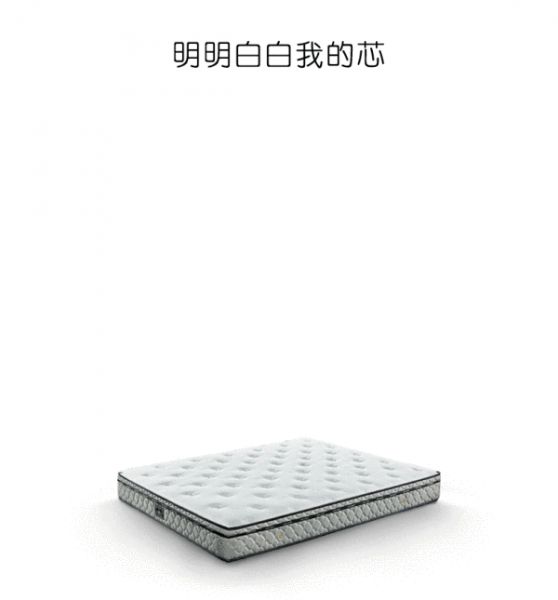 雅兰小白