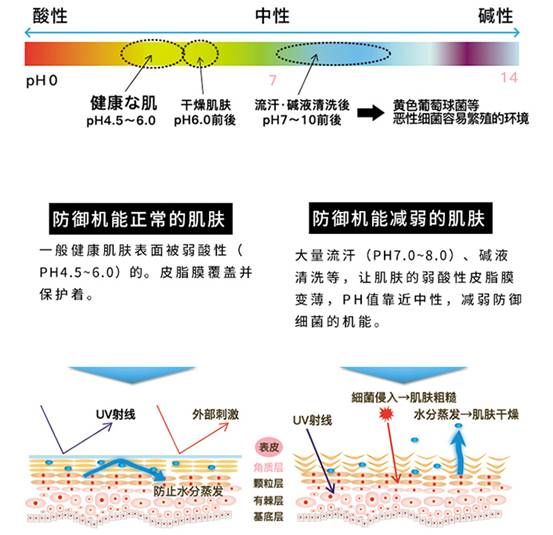 新浪家居