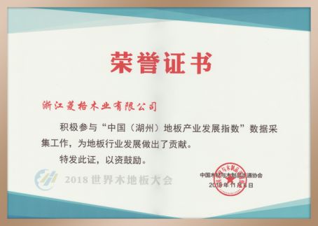 贡献巨大 作用突出：2018世界木地板大会对天格全方位表彰