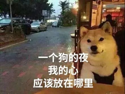 好奇 ▏单身狗心中的满分女友