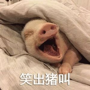 燕郊新浪<a href=