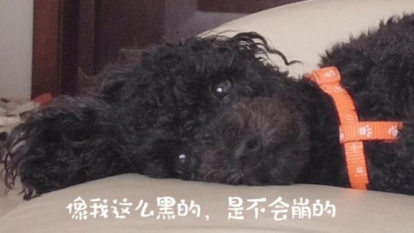 燕郊新浪<a href=