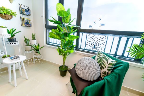 家里绿植放在这,日子越过越穷,发财没门霉运不断!