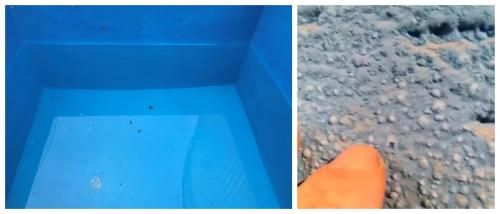 高效小蓝桶与普通水性防水涂料泡水后状态对比