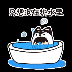 智美X，为生活加满分！