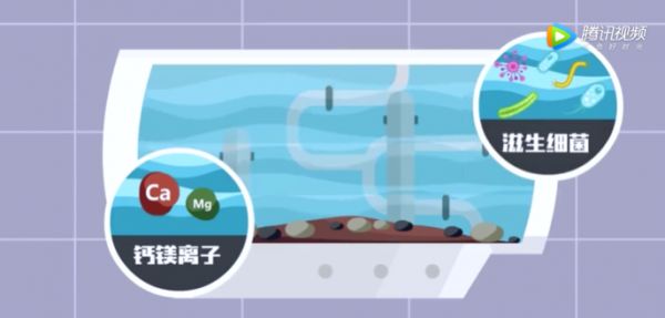 燕郊新浪<a href=