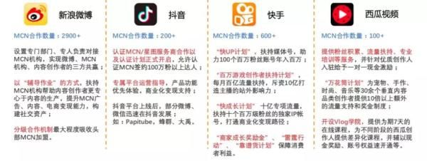 大流量平台MCN现状