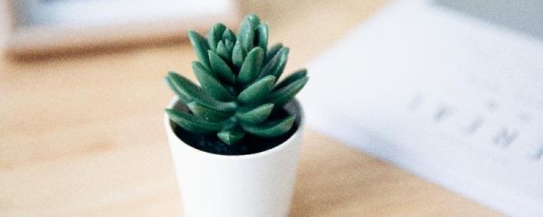餐桌这些东西可以防止疫情,幸好我准备的早,邻居直羡慕