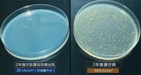 中科院细菌实验揭秘:夏天不敢乱开空调,原因都在这了