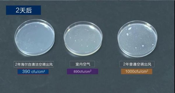 中科院细菌实验揭秘:夏天不敢乱开空调,原因都在这了