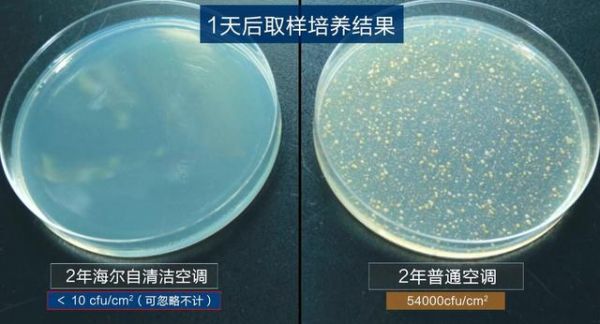 中科院细菌实验揭秘:夏天不敢乱开空调,原因都在这了