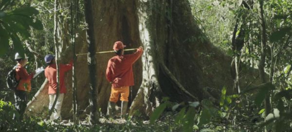 大自然家居佘学彬与中外专家在线共话全球生物多样性保护