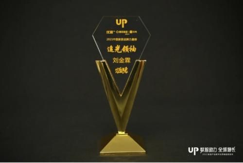 2021年中国家居品牌力量评选，南国鼎峰装饰荣获四项大奖